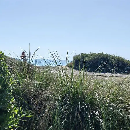 Apartment Alcove Climatise Pour 4 Pers. Avec Parking A 20m De La Plage, Animaux Bienvenus - Fr-1-607-184